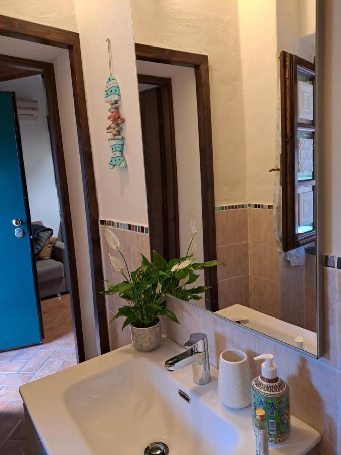 Ferienwohnung IL Rustichello Pisa Exterior foto