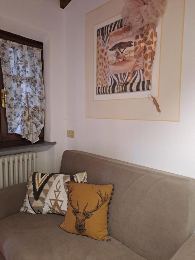 Ferienwohnung IL Rustichello Pisa Exterior foto